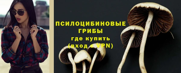 МДПВ Нягань