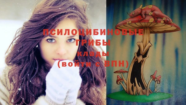 МДПВ Нягань