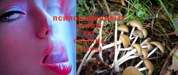 метадон Бикин