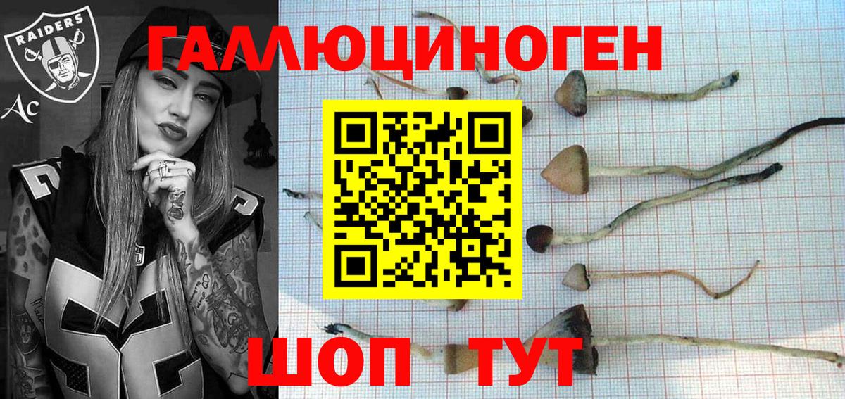 Галлюциногенные грибы Psilocybe  Псилоцибиновые грибы прущие грибы  Азнакаево 