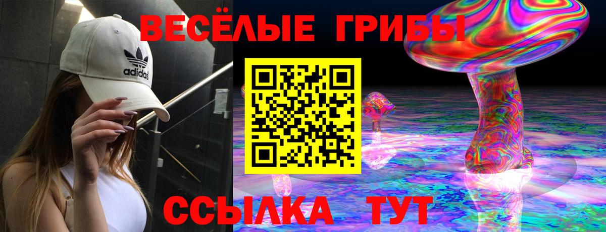 Псилоцибиновые грибы прущие грибы  Псилоцибиновые грибы Cubensis  Азнакаево  Вход с VPN 
